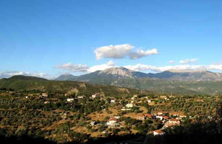 Σαργιάδα