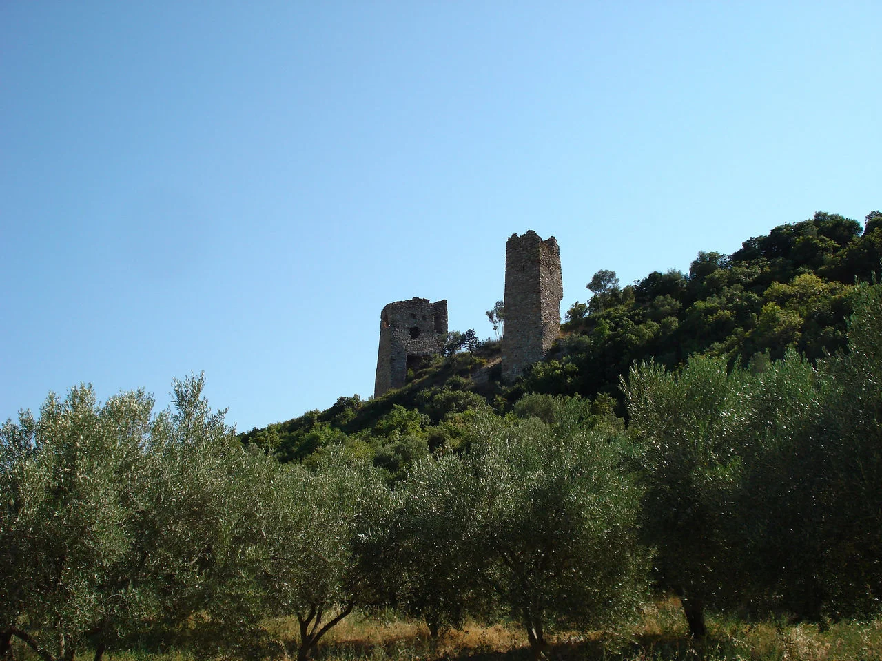 Άβαντας