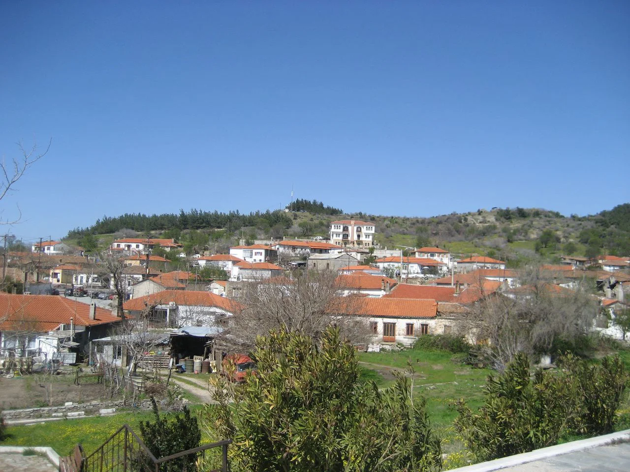 Γονικό