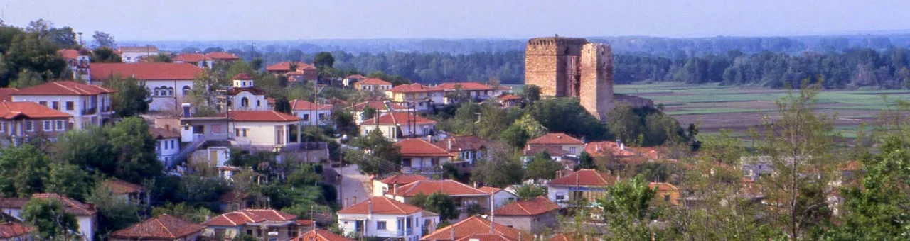 Θυμαριά