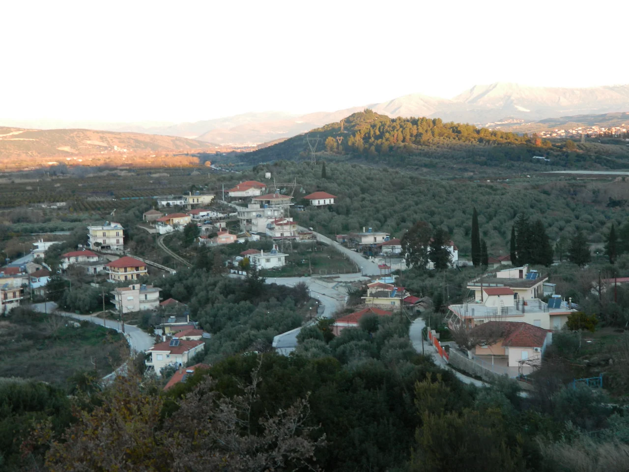 Συκούλα