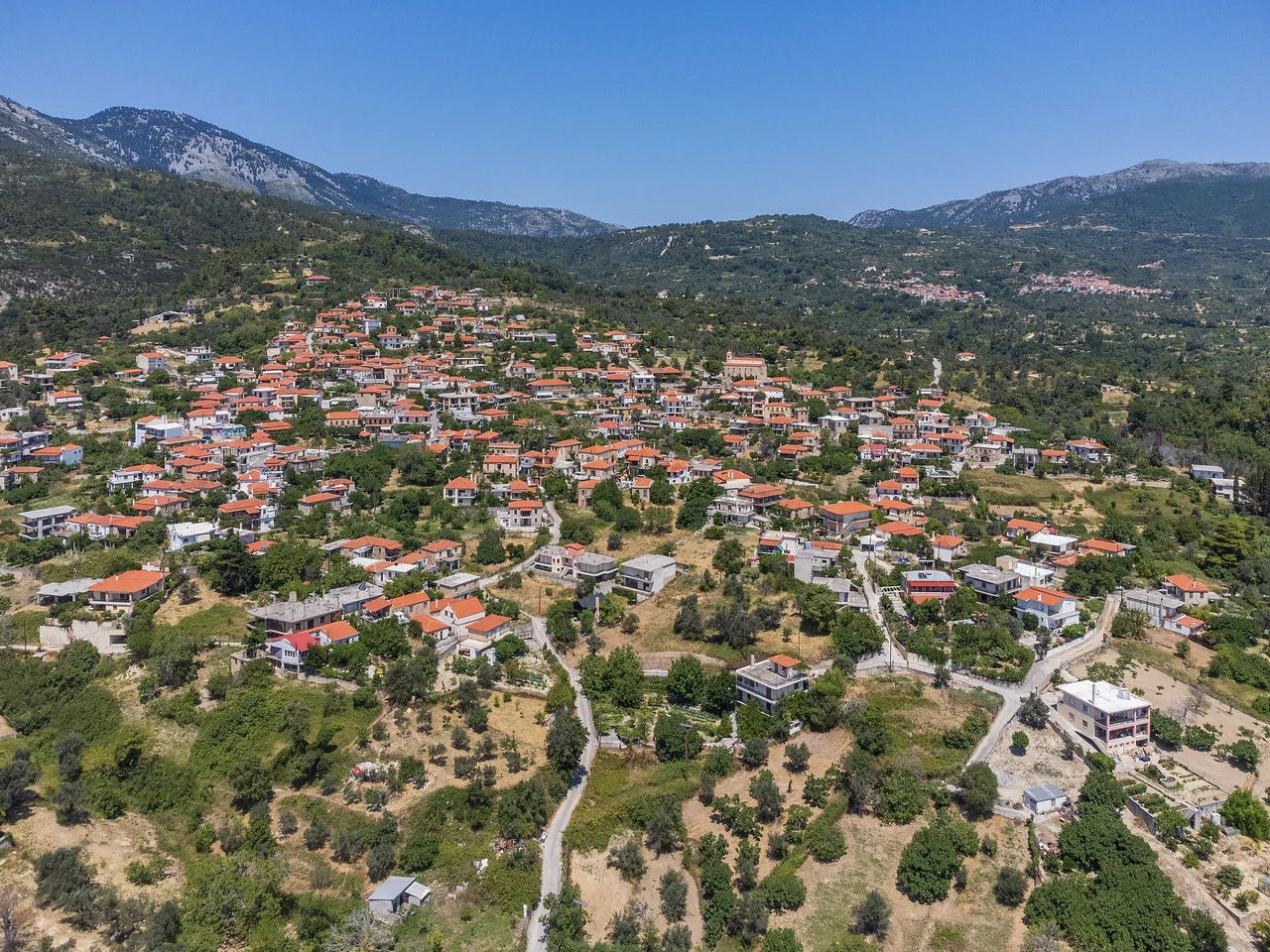 Ανδρωνιάνοι