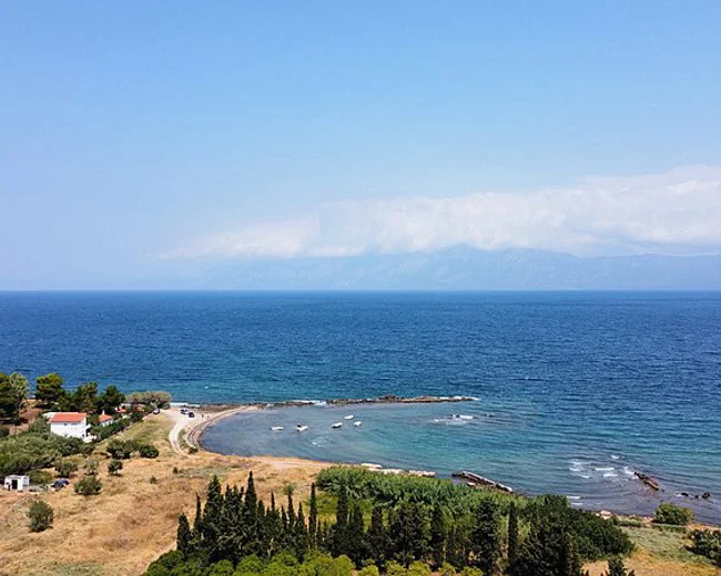 Ανθηδόνα