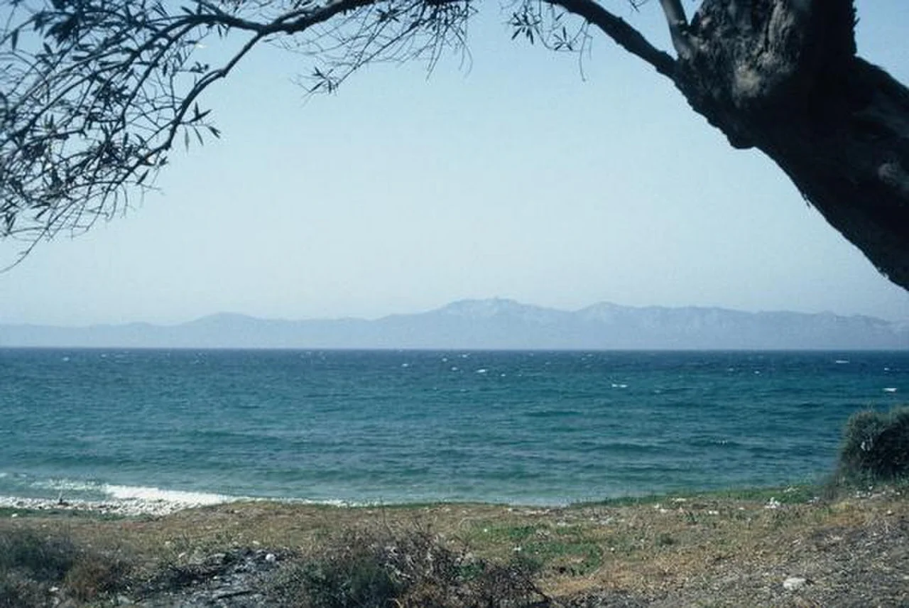 Αρτεμίσιο