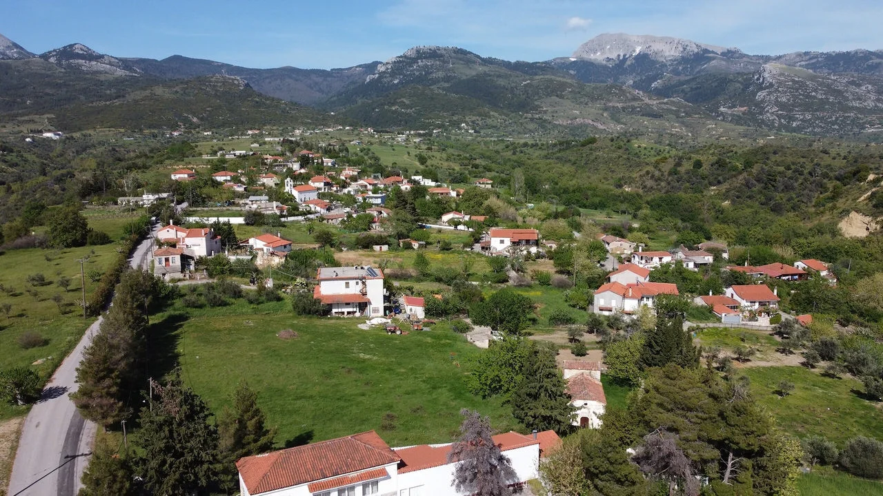 Βούνοι