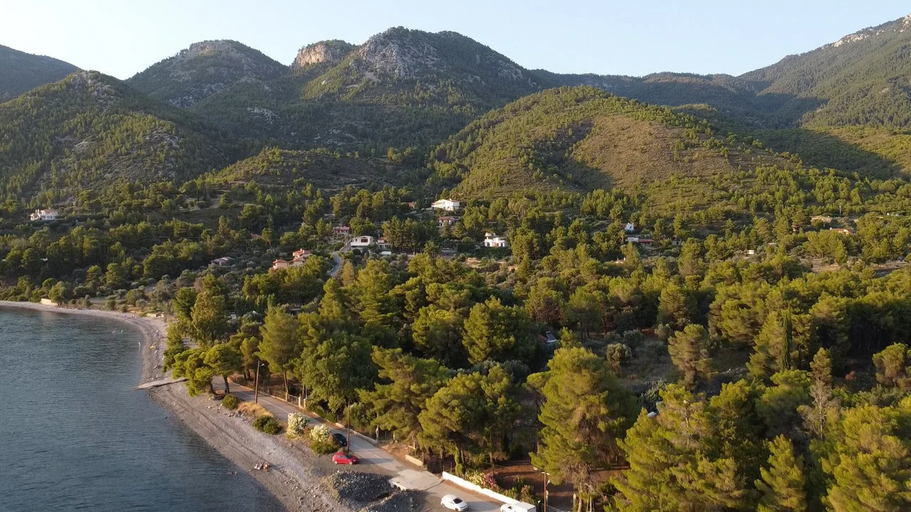 Δάφνη Νεροτριβιάς