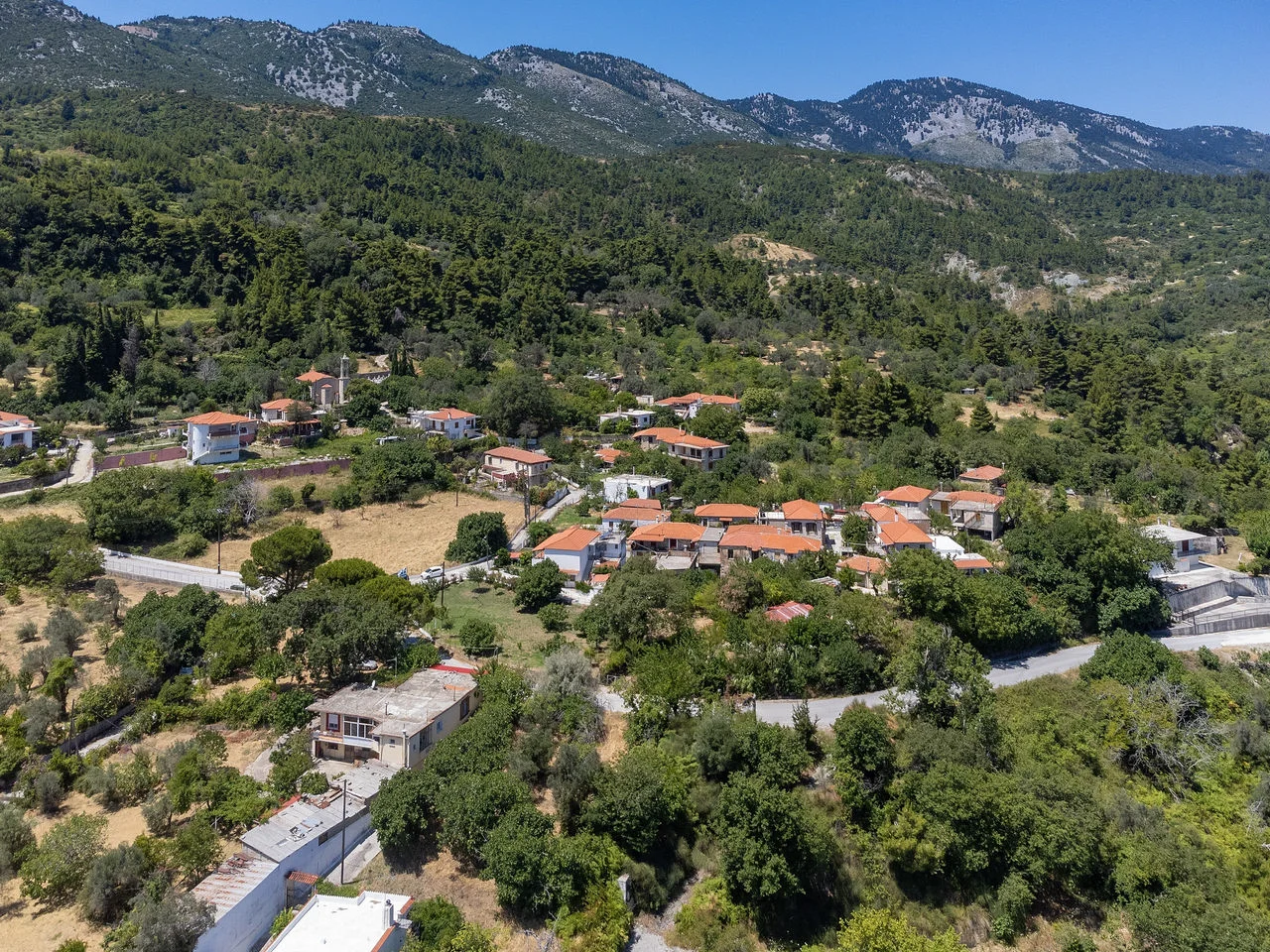 Δένδρα
