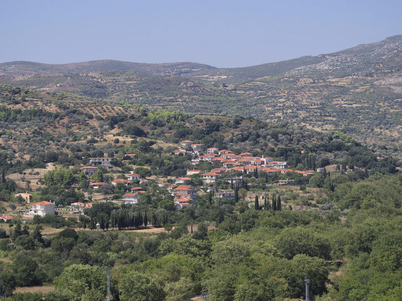 Κοίλι