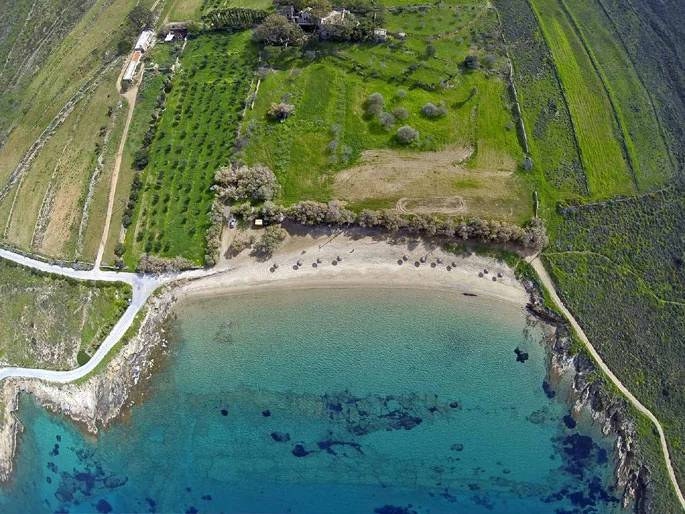 Κόμιτο