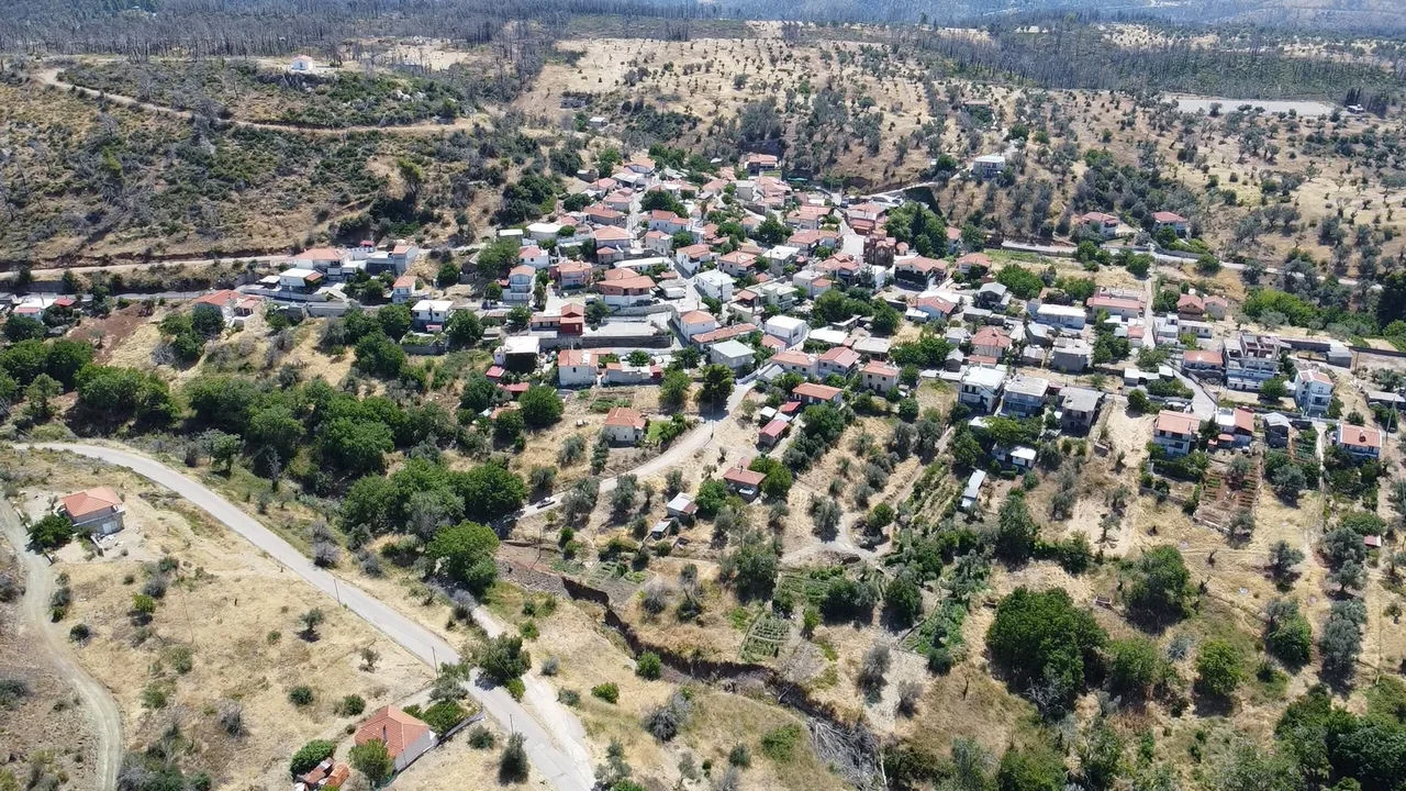 Κοντοδεσπότι