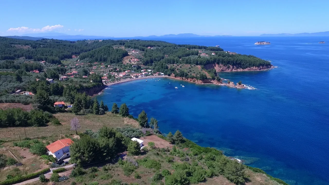 Κοτσικιά