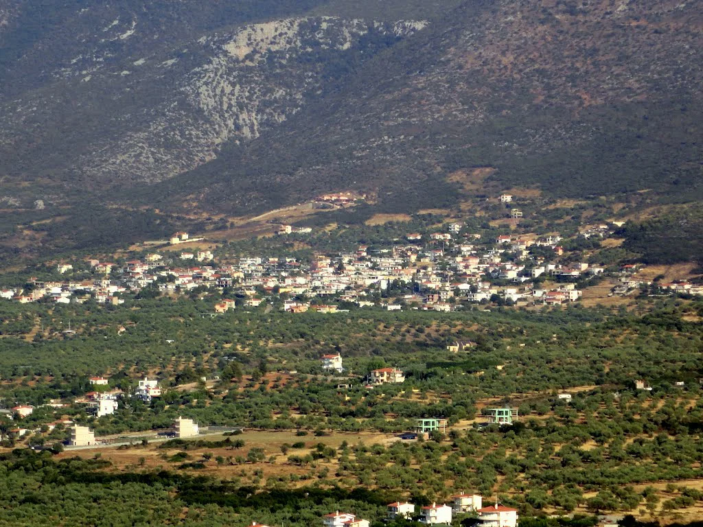 Λουκίσια