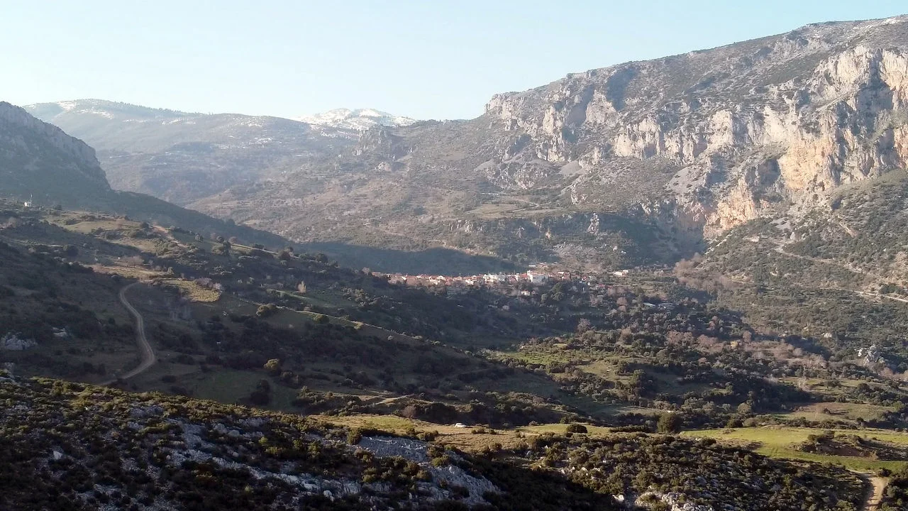 Μανίκια