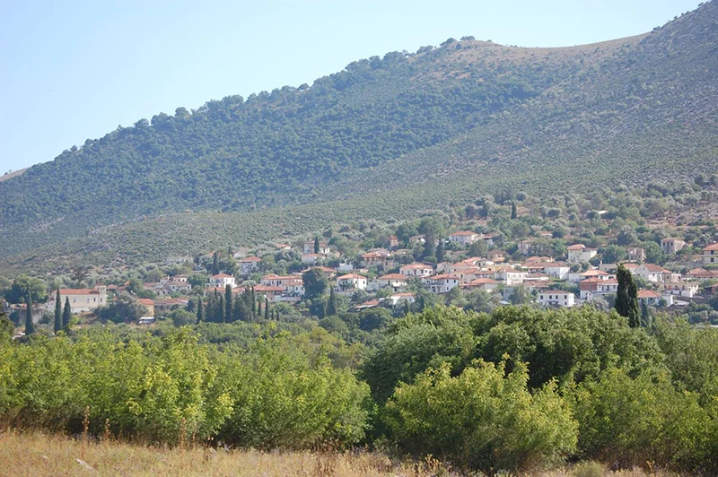 Χρυσόβιτσα Βόνιτσας
