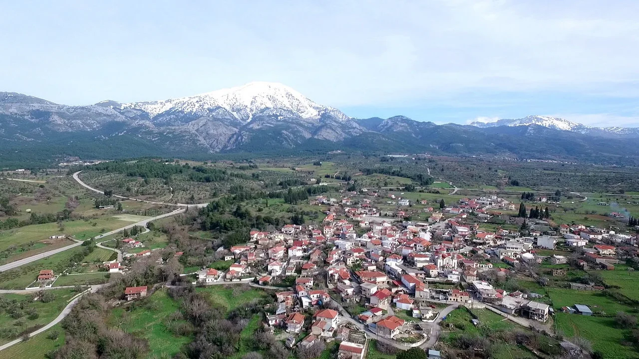 Παλιούρας