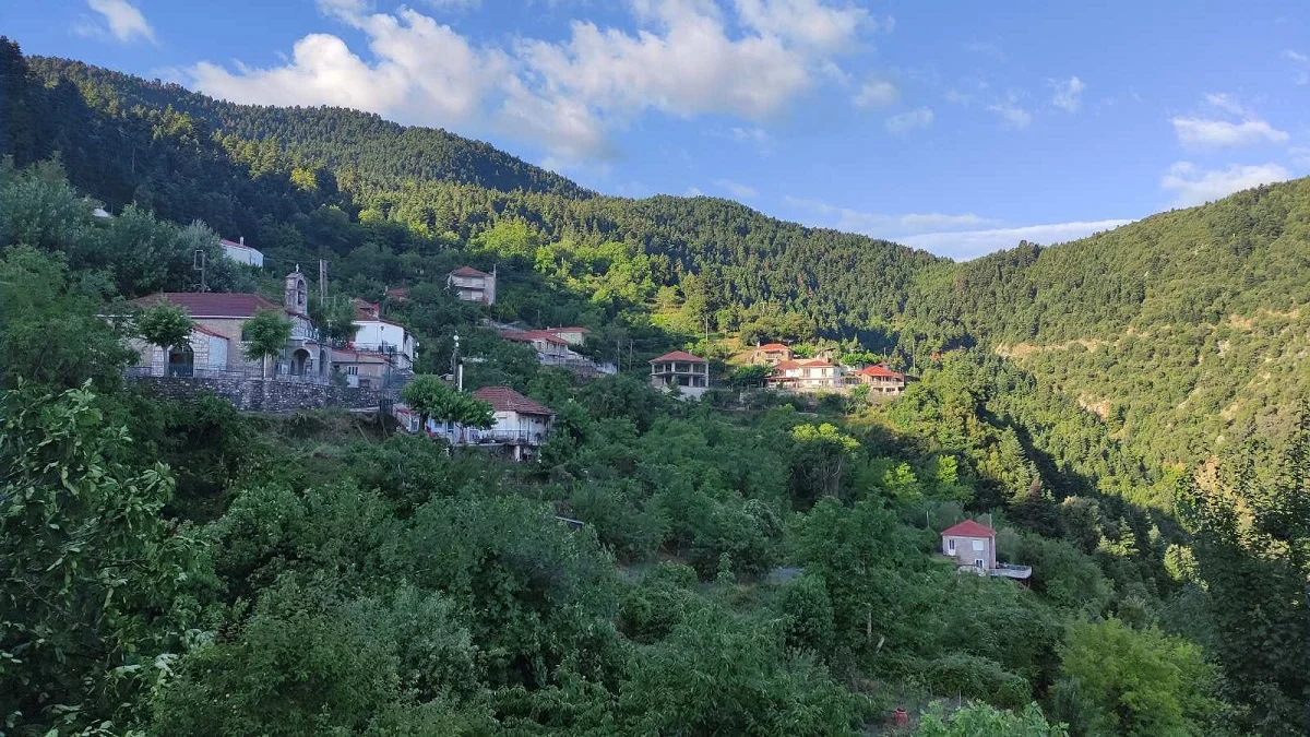Χρυσορράχη