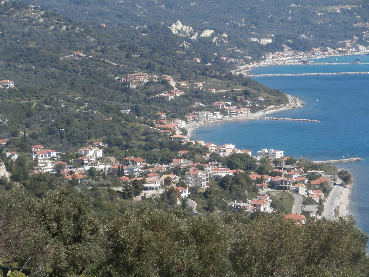 Πλατάνα