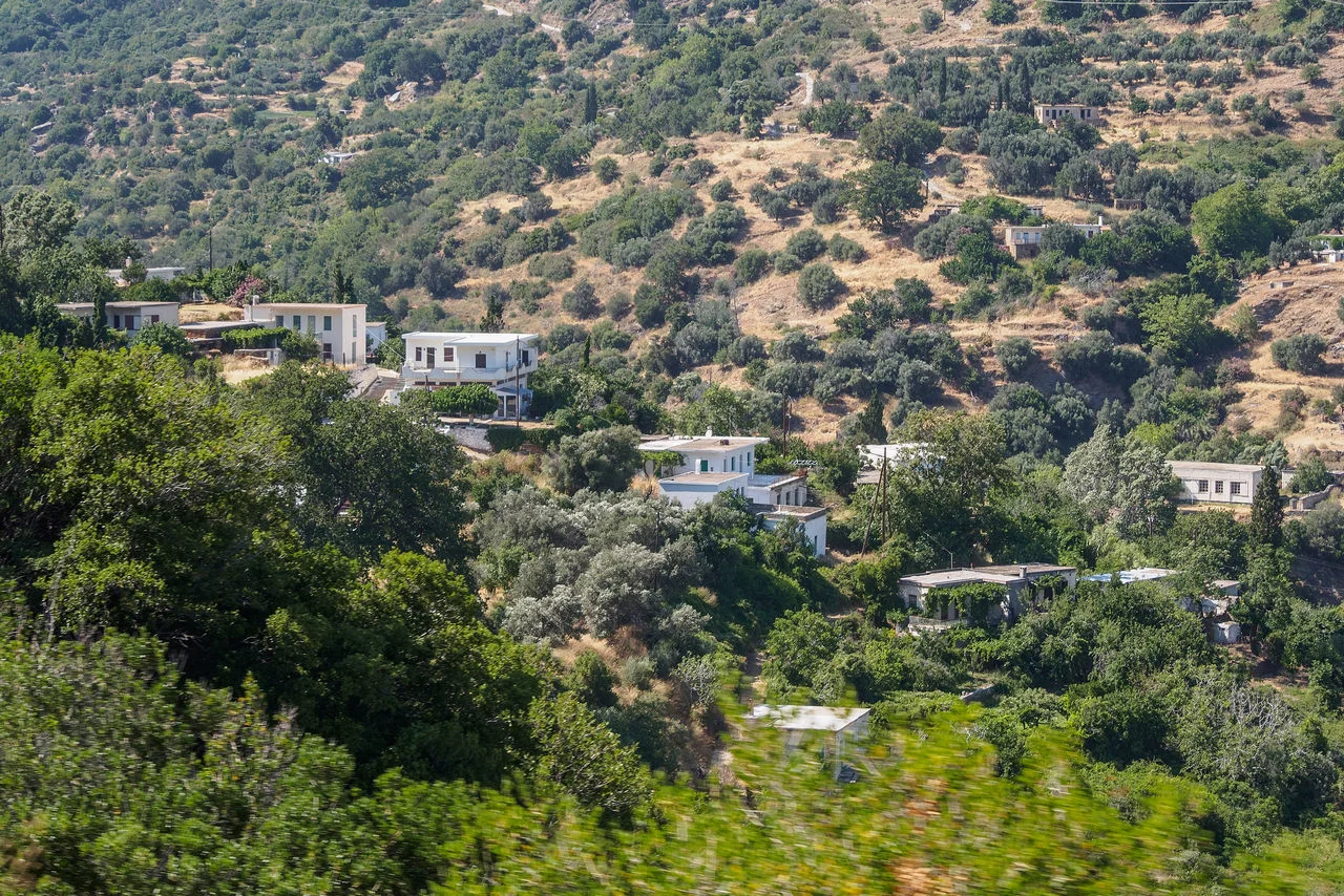Πλατανιστός