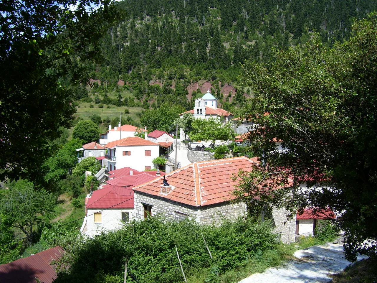 Φιδάκια