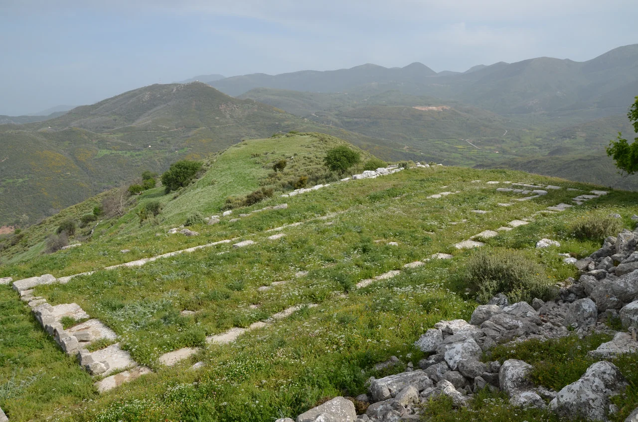 Αλίφειρα