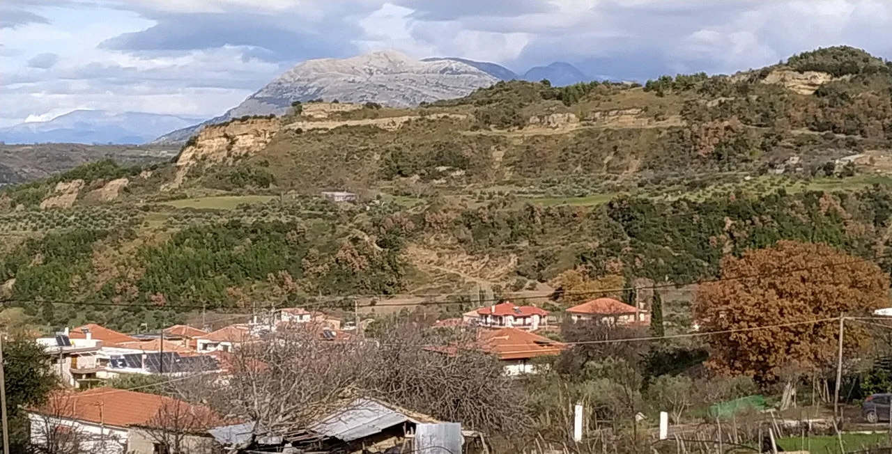 Γούμερο
