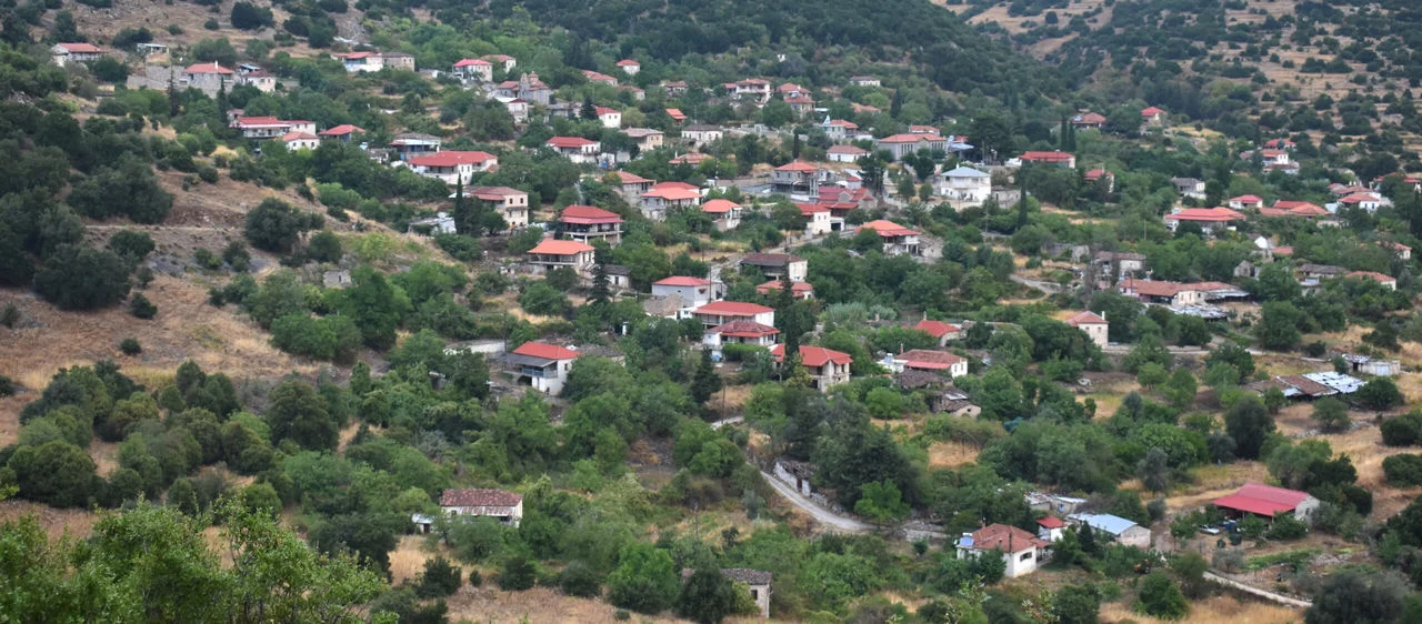Αλέα