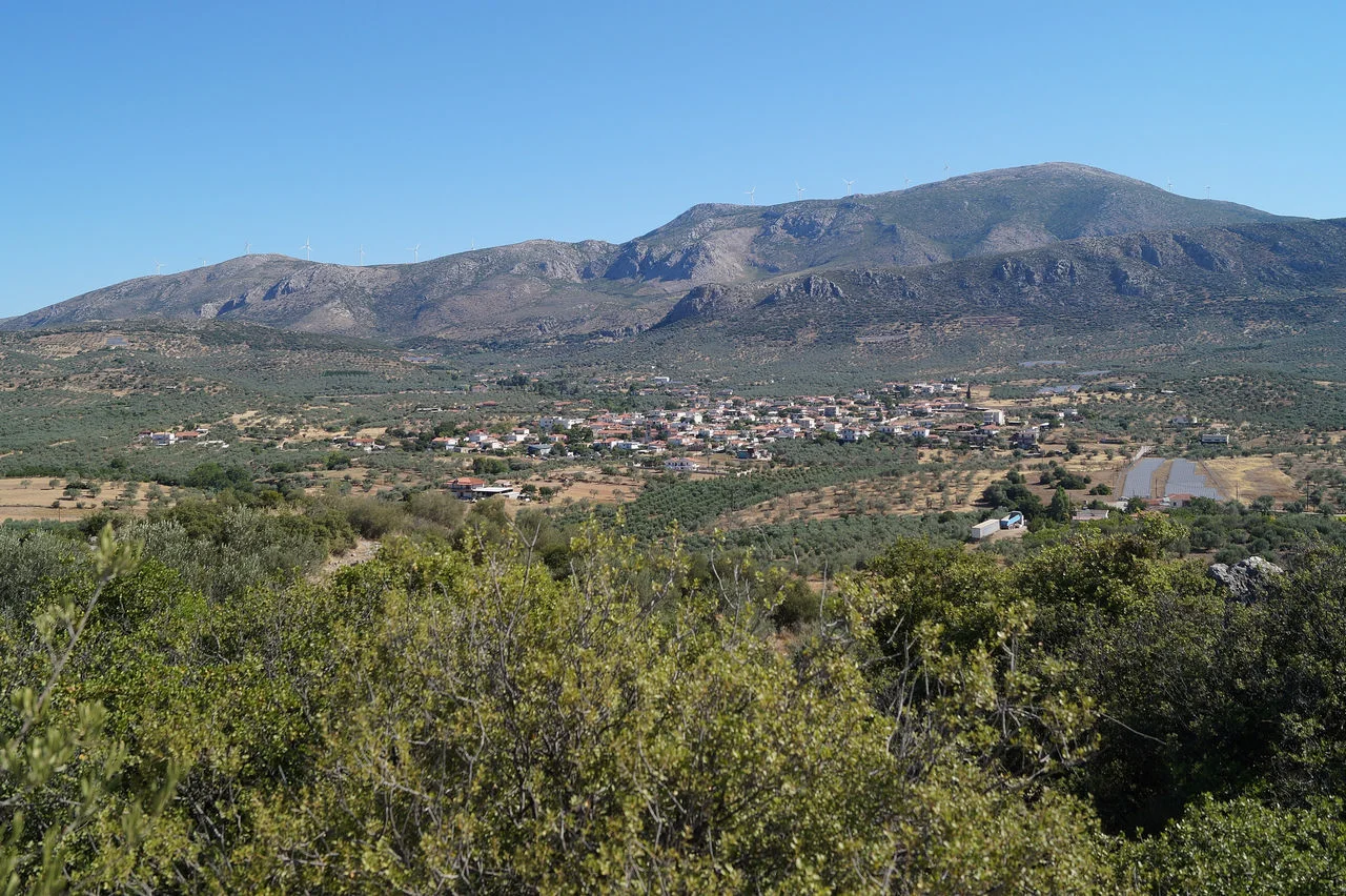 Αραχναίο