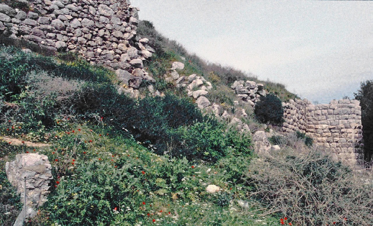 Ασίνη