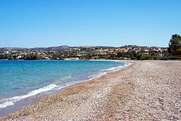 Βερβερούδα