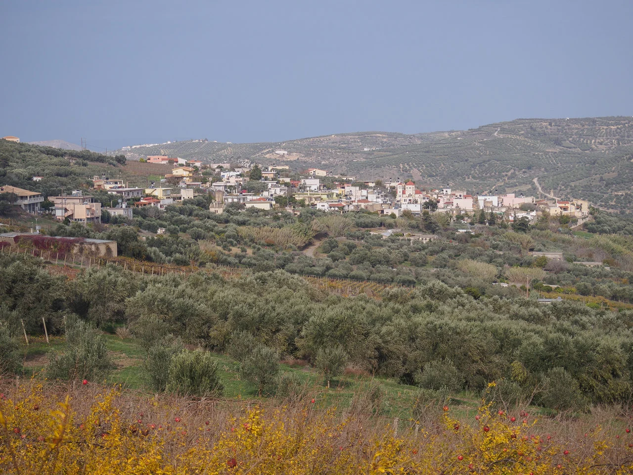 Αστρακοί