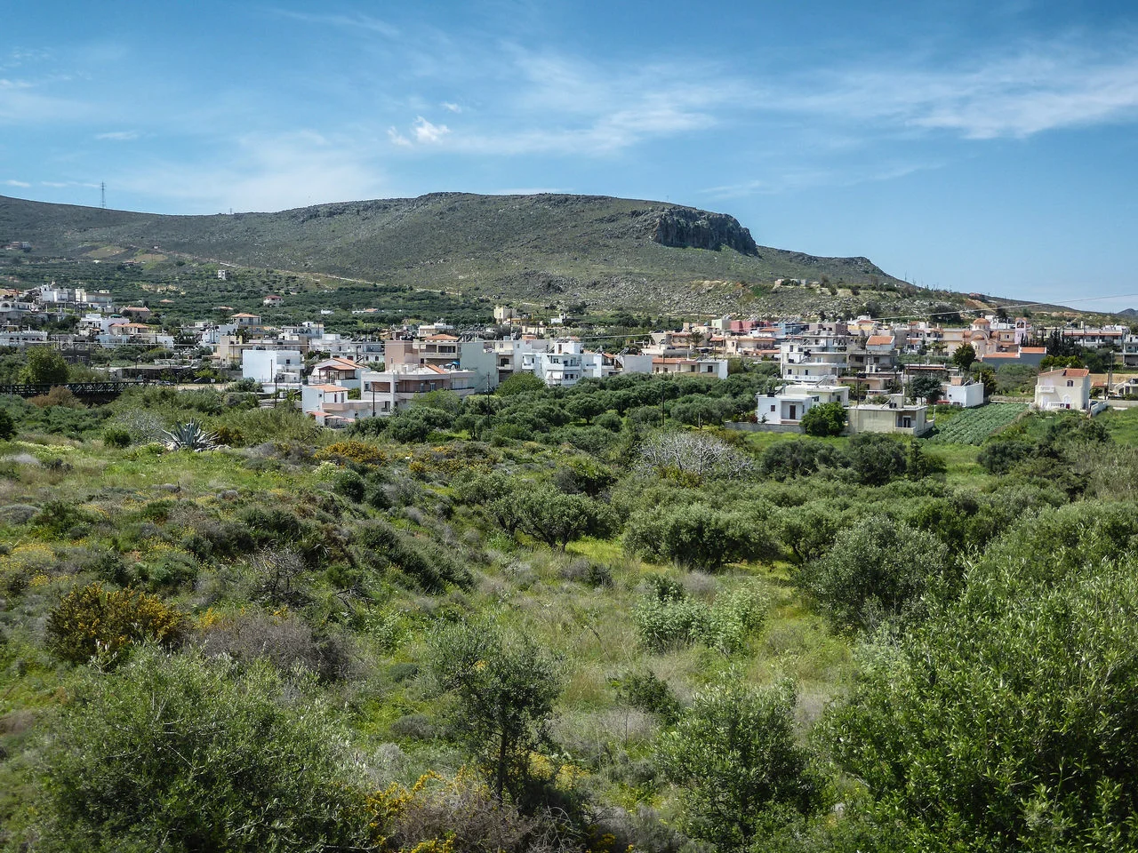 Γούρνες Πεδιάδας