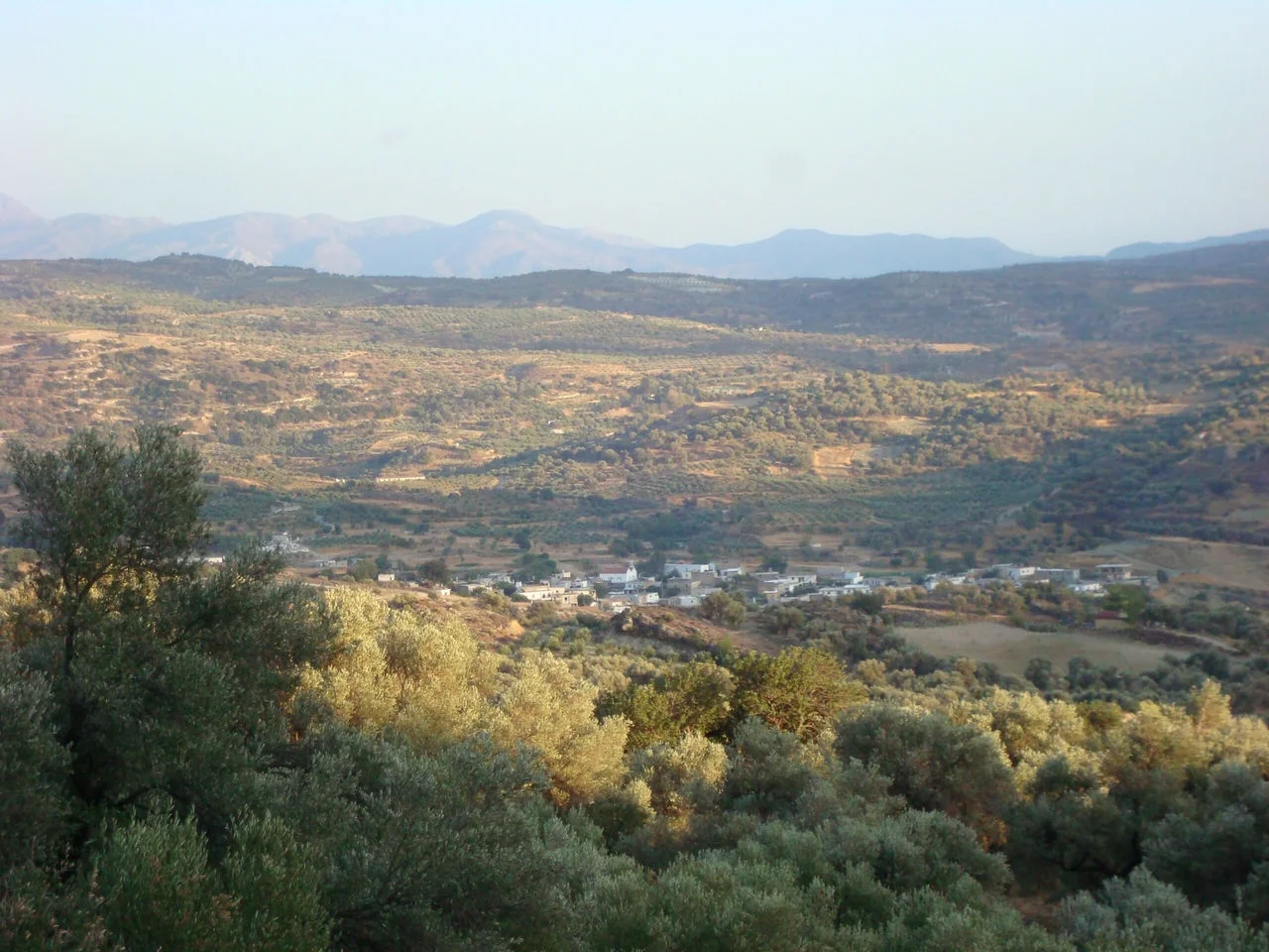 Ζαρός