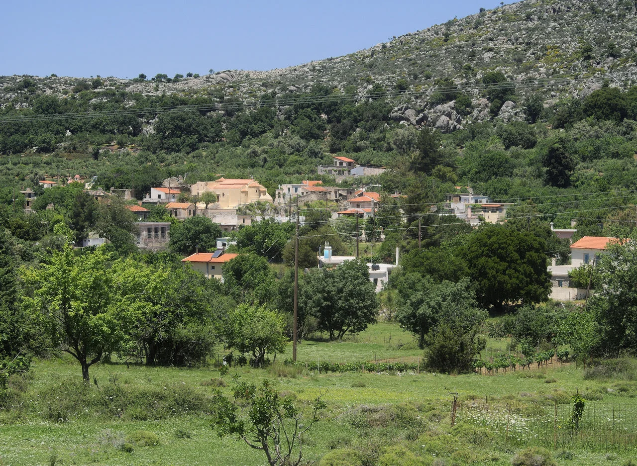 Καμαριώτης