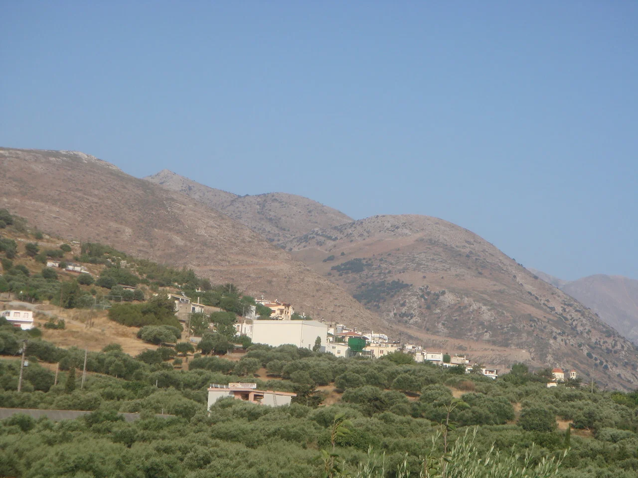 Νιπιδιτός
