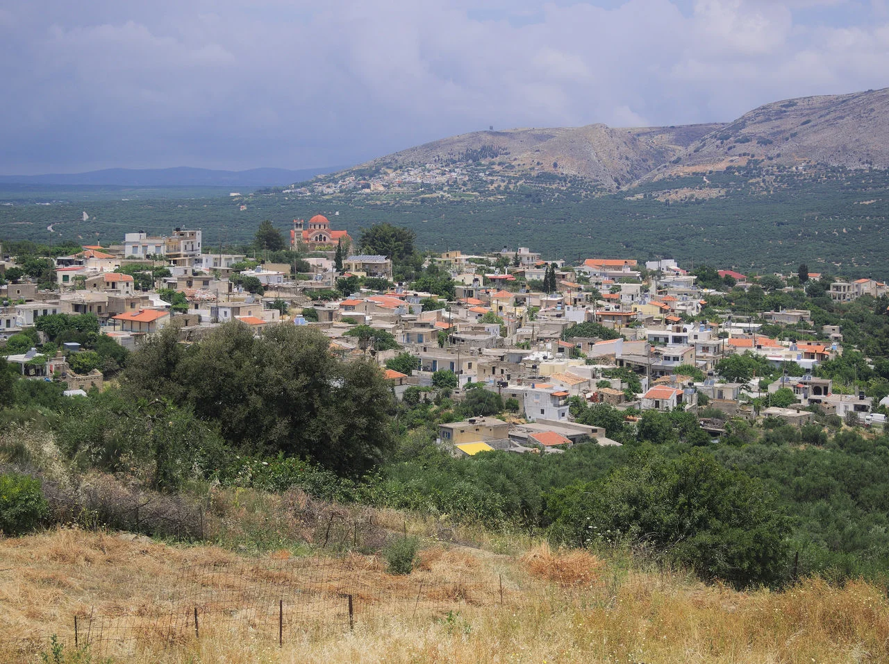 Παναγία Πεδιάδας