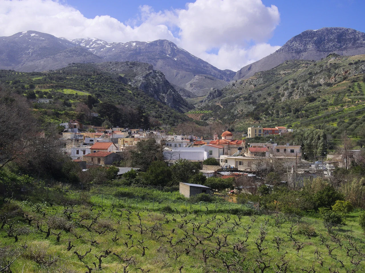 Σάρχος