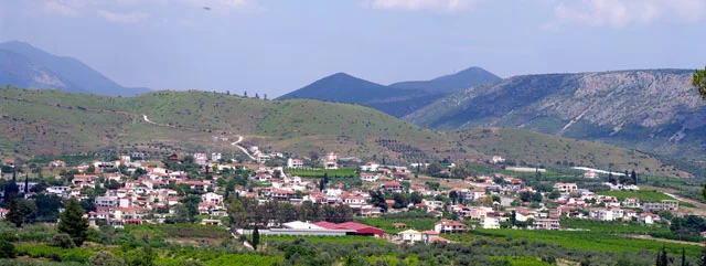 Λευκάκια