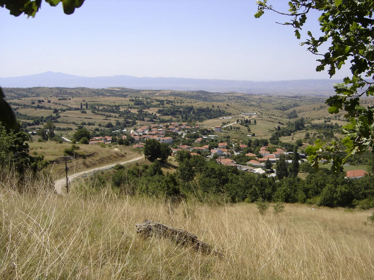 Καρτερές