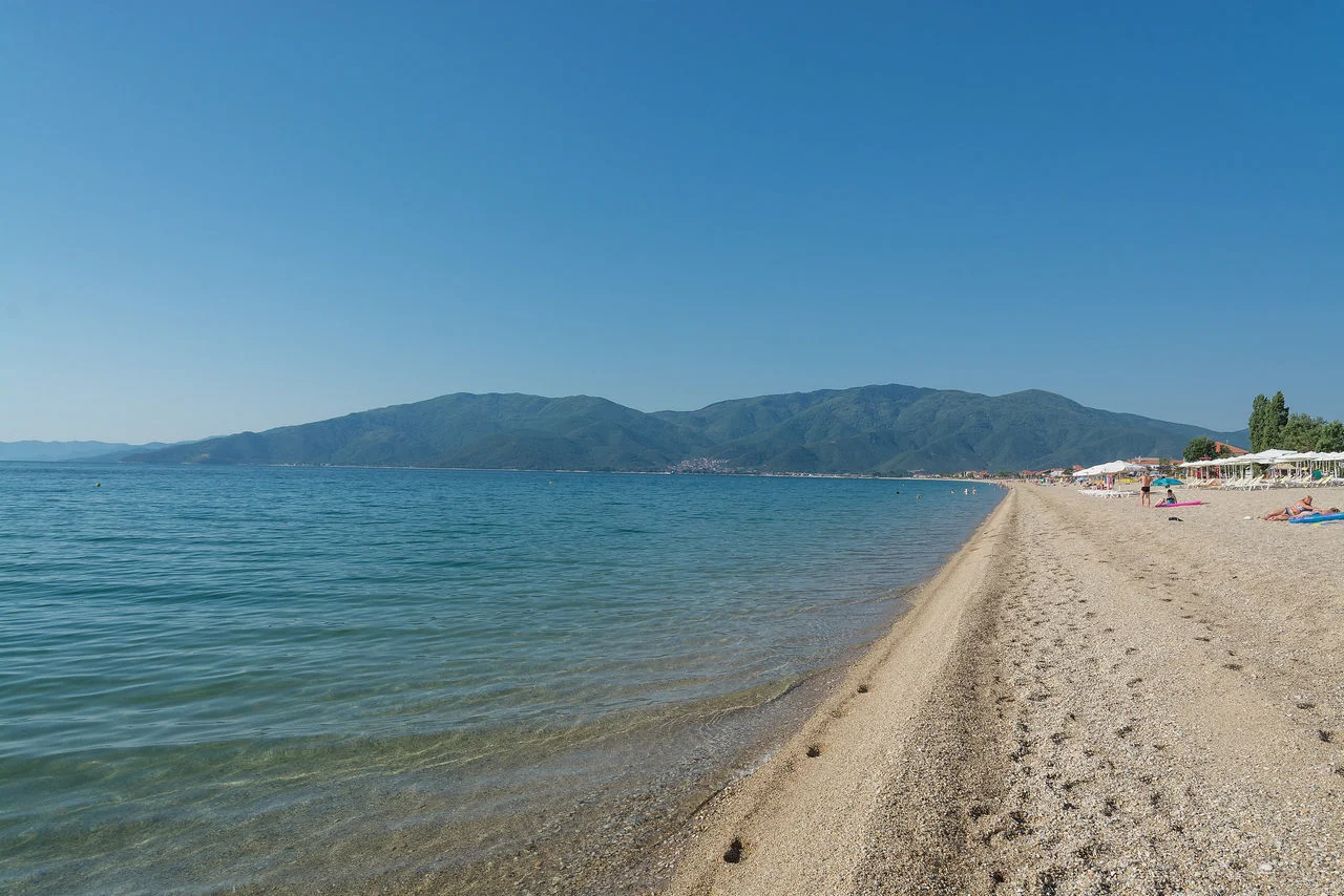 Νέα Βρασνά