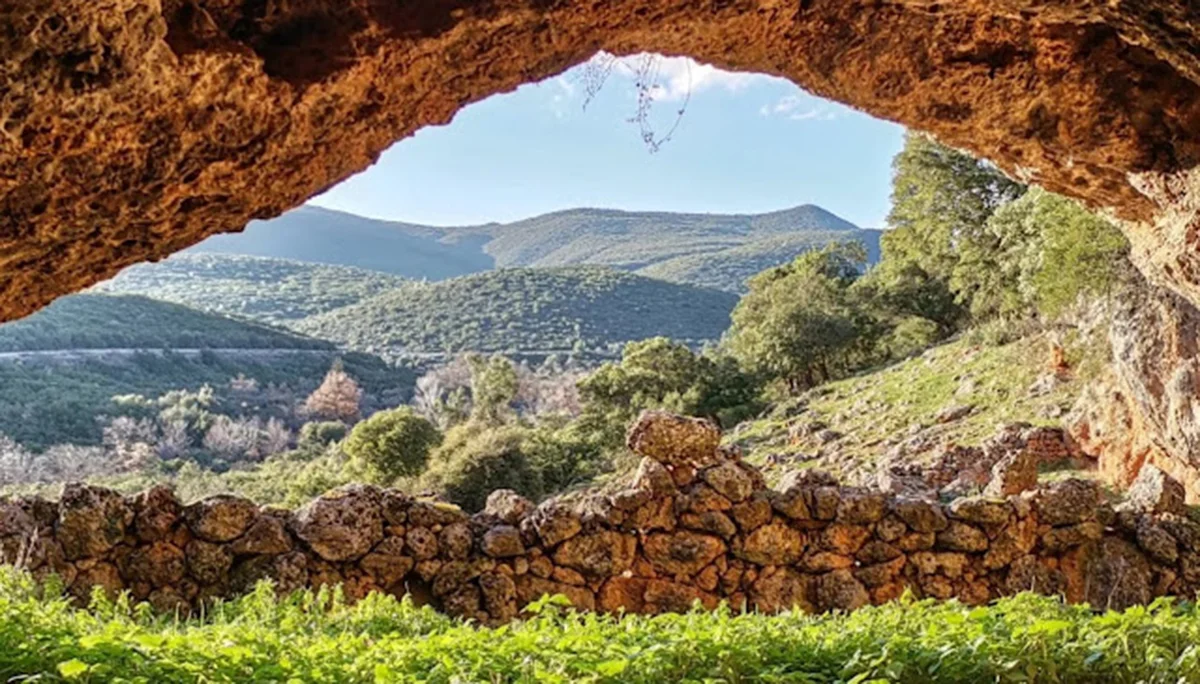 Πλατάνι