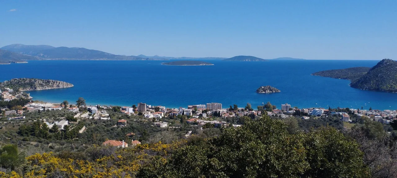 Τολό