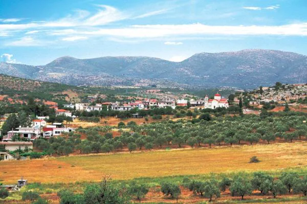 Τραχειά