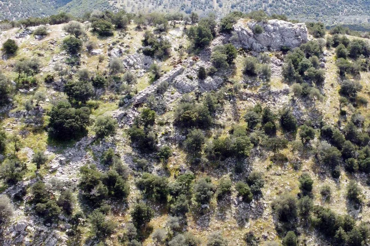 Τσιρίστρα