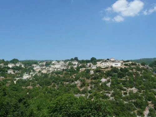 Βίτσα