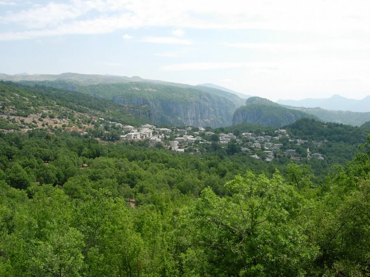 Μονοδένδρι