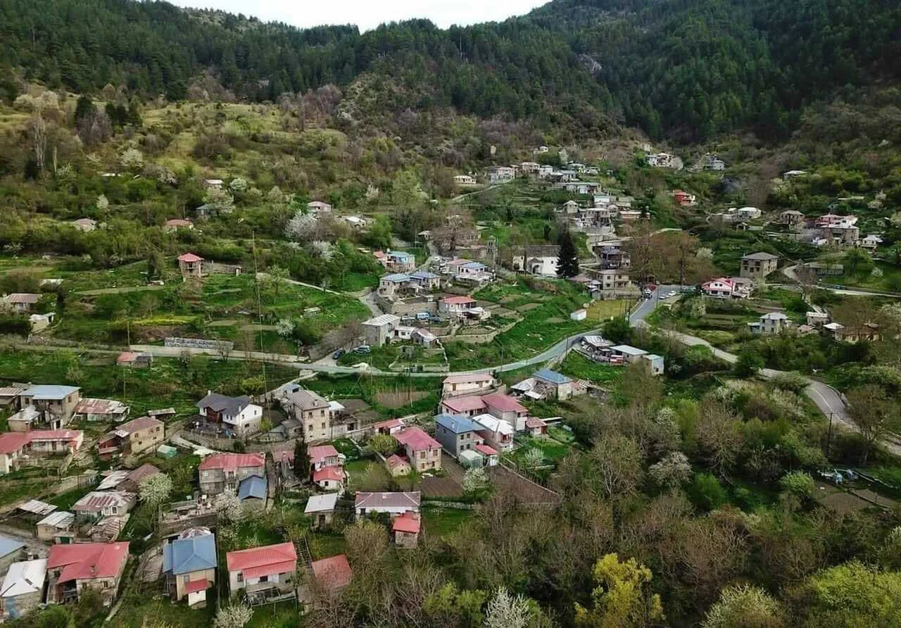 Παλαιοσέλλι