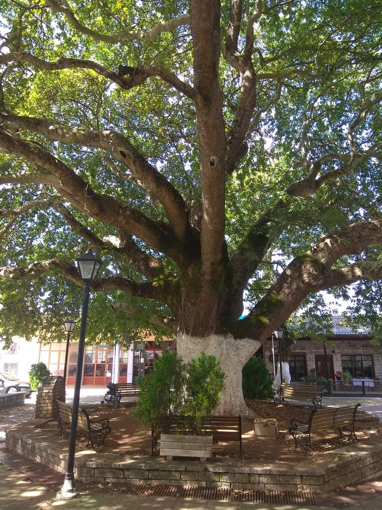 Πρωτόπαππας