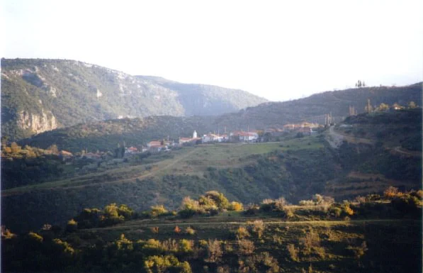 Αγριακόνα