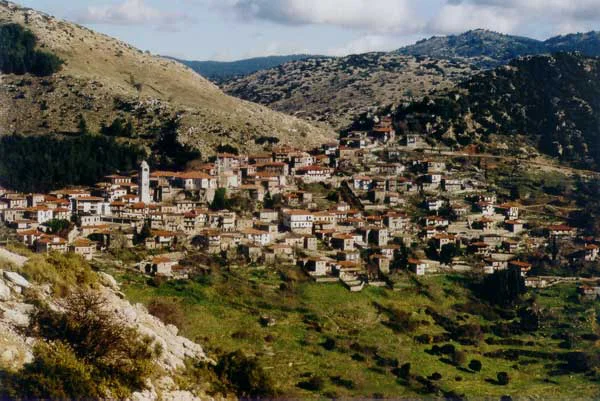Αγρίδι