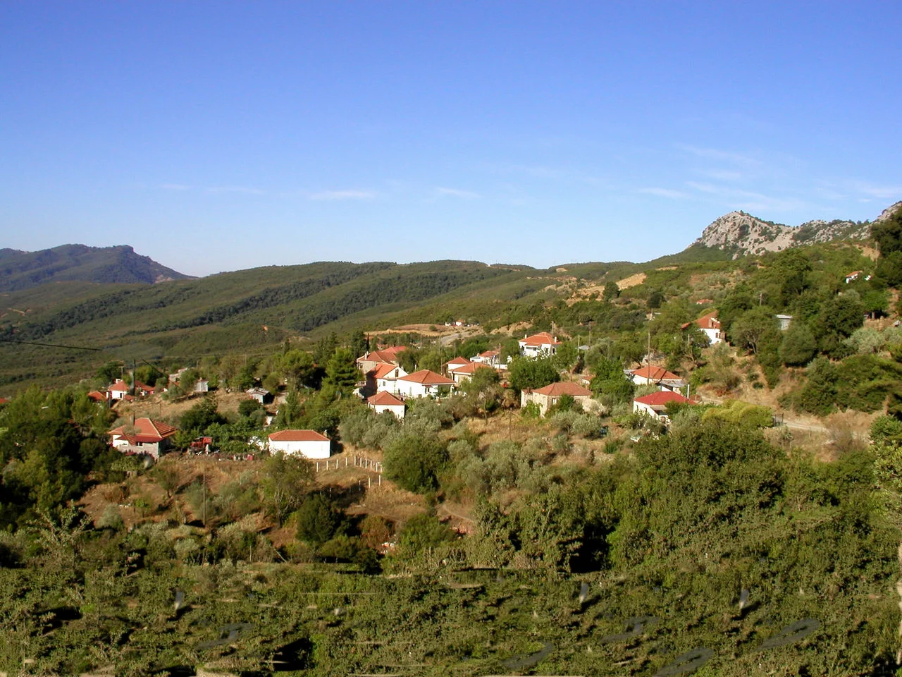 Αλευράδα